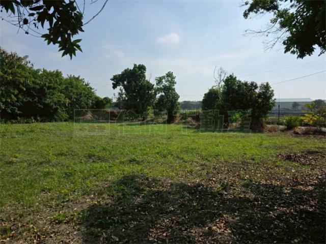 屏東高樹農地-8