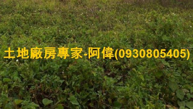 高雄永安農地-1