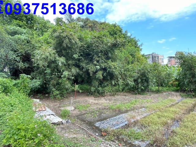 宜蘭頭城建地-3