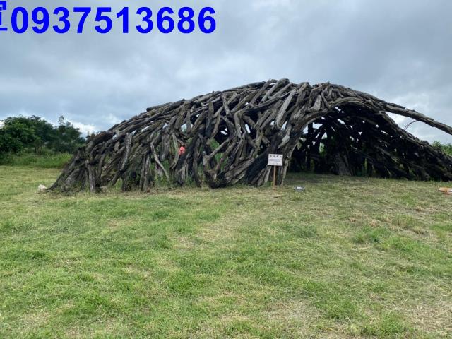 宜蘭壯圍農地-8