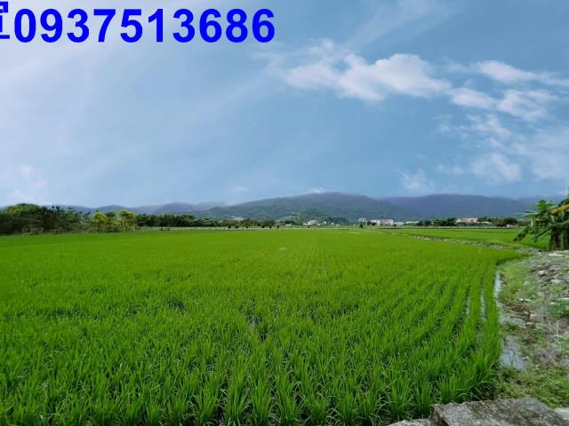 宜蘭三星農地-3