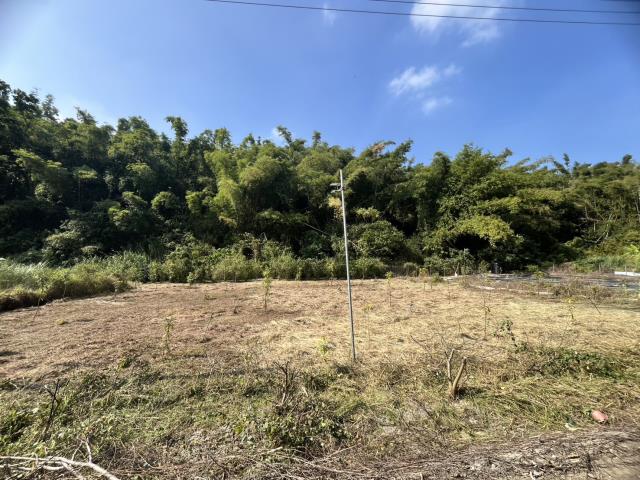 台南左鎮農地-5