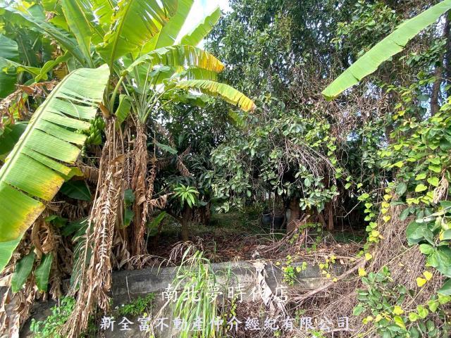 台南新化農地-2