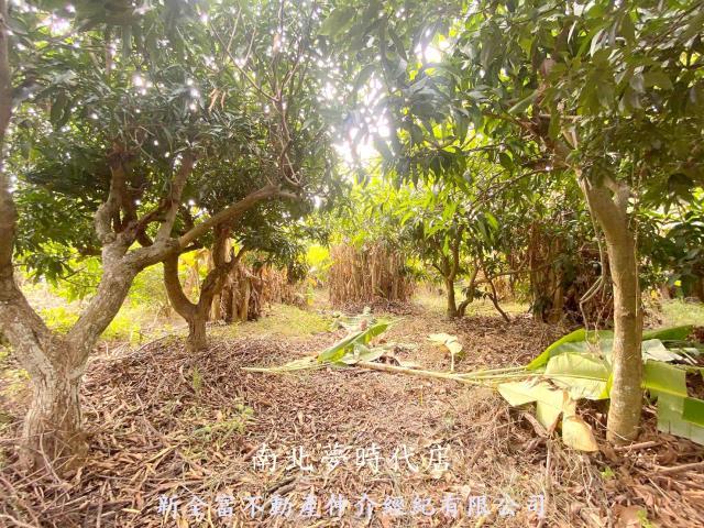 台南新化農地-3