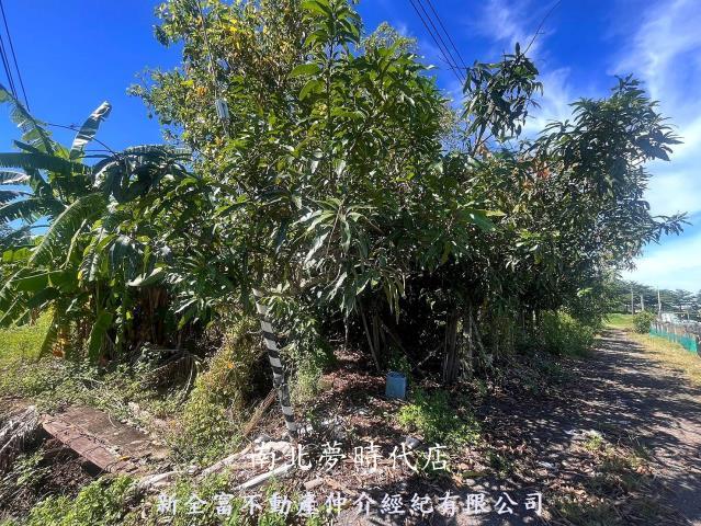 台南新化農地-5