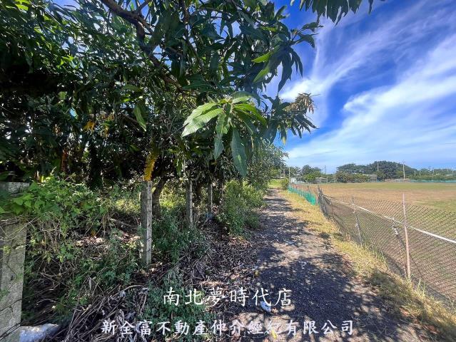 台南新化農地-7