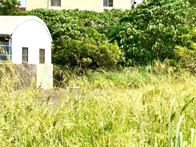 屏東新園建地-4