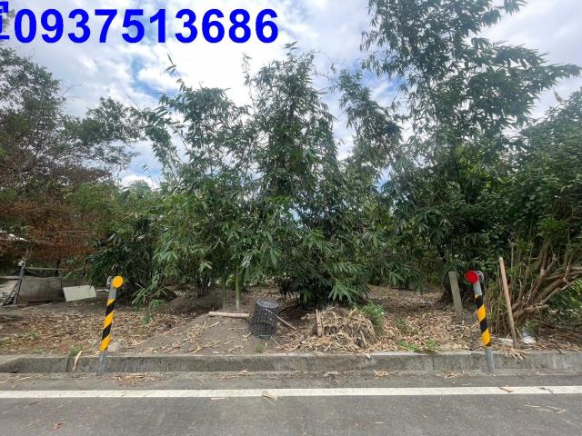 宜蘭宜蘭市農地-4