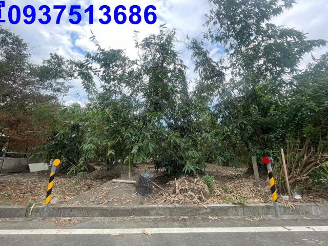 宜蘭宜蘭市農地-5