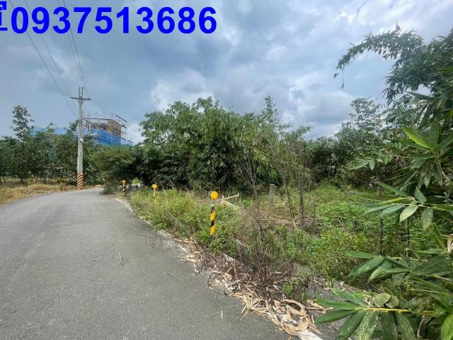 宜蘭宜蘭市農地-7