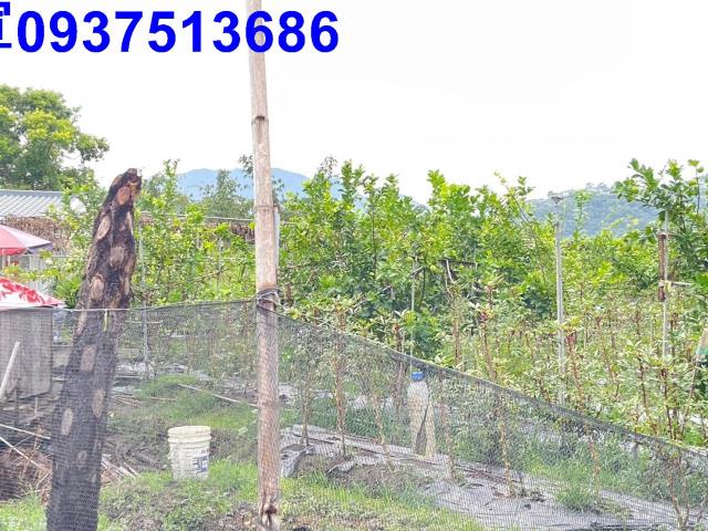 宜蘭員山農地-2