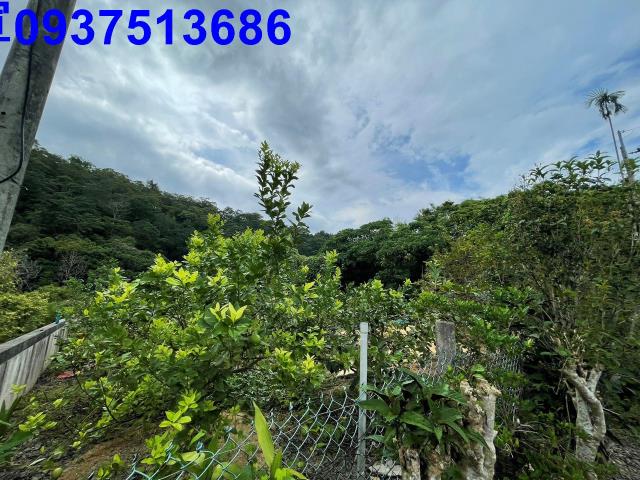 宜蘭員山農地-10