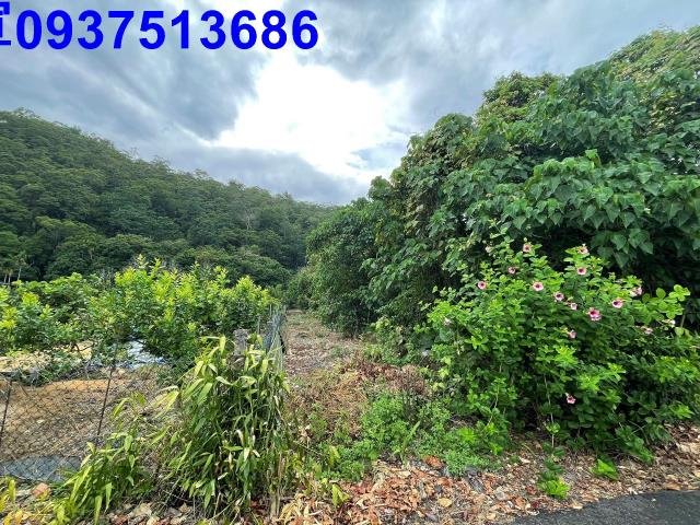 宜蘭員山農地-2