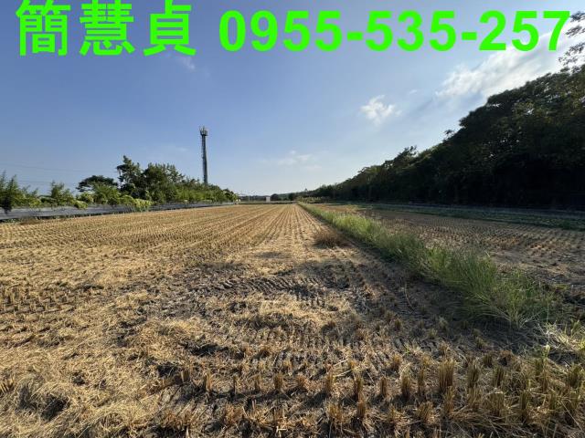 草屯農地-6