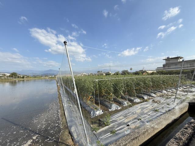 美濃農地-7
