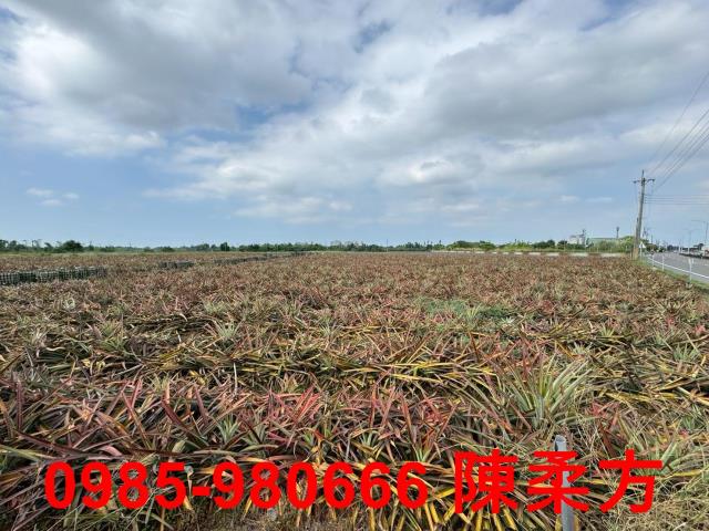 嘉義大林農地-14