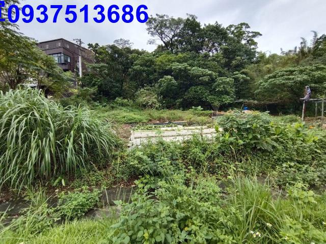 宜蘭蘇澳建地-1