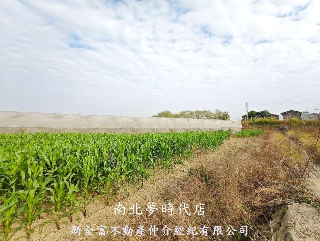 台南柳營農地-3