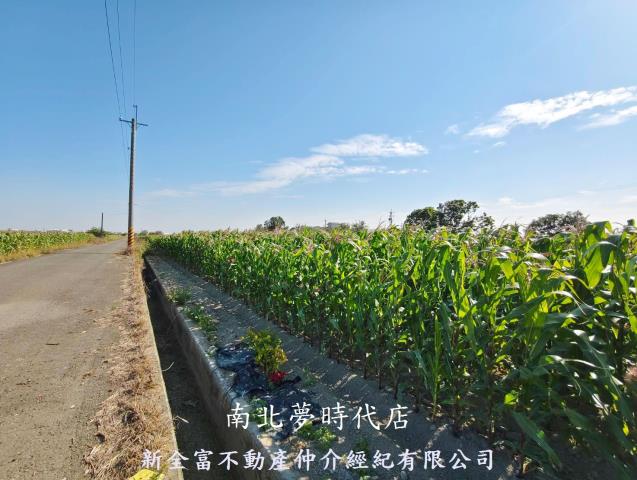 台南鹽水農地-7