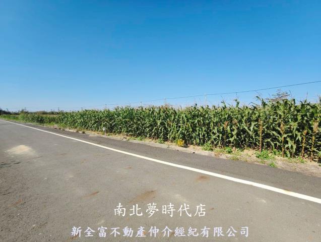 台南鹽水農地-8