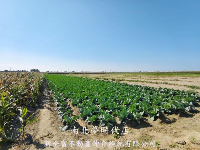 台南將軍農地-3