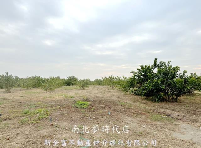 高雄湖內農地-1