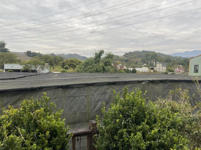 台中東勢農地-1