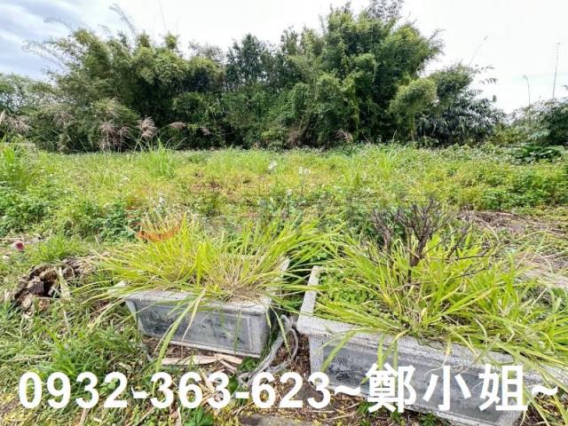 桃園八德農地-5