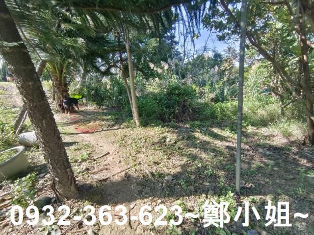 桃園桃園區農地-1