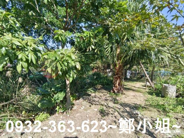 桃園桃園區農地-4