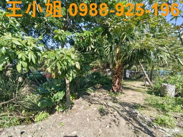 桃園桃園區農地-2