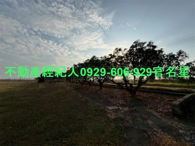 嘉義鹿草工業地-11