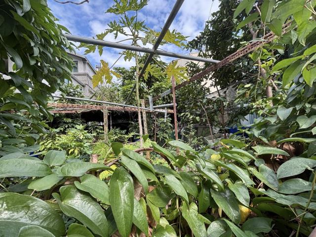 台中西屯住宅地-2