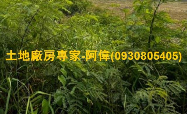 高雄仁武住宅地-1