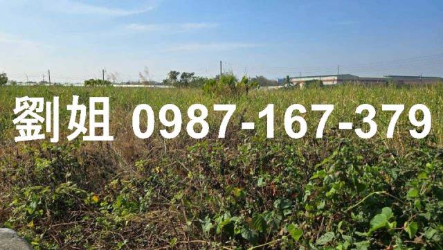 高雄阿蓮農地-4