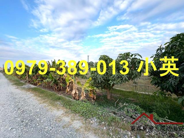 高雄路竹農地-4