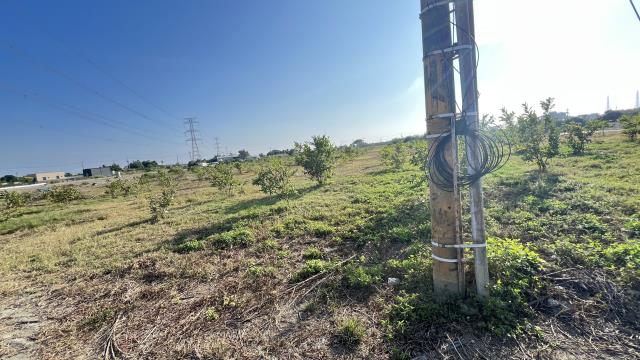 高雄湖內農地-4