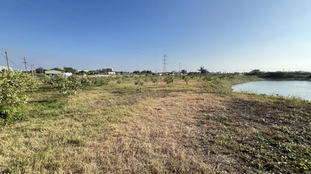 高雄湖內農地-2