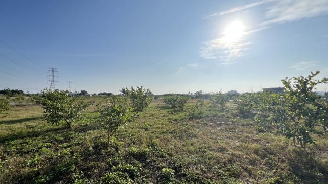 高雄湖內農地-11