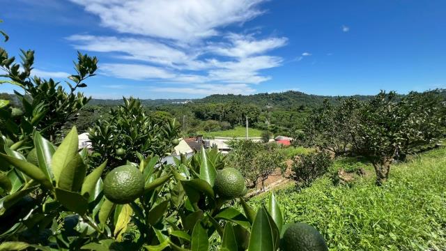 新竹峨眉農地-8