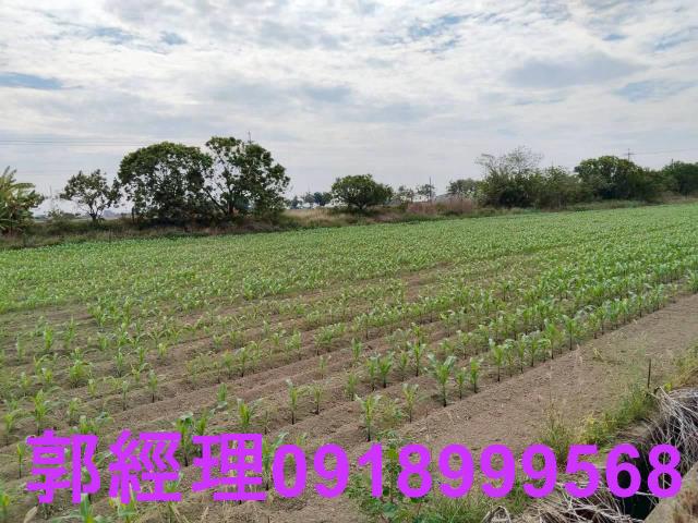 台南農地-4