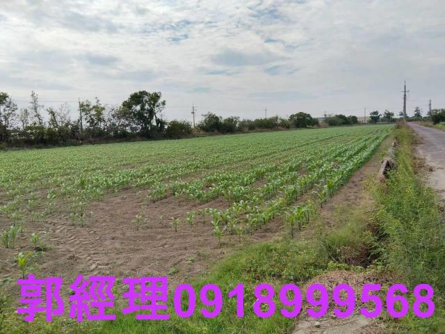 台南農地-5