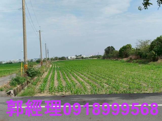 台南農地-8