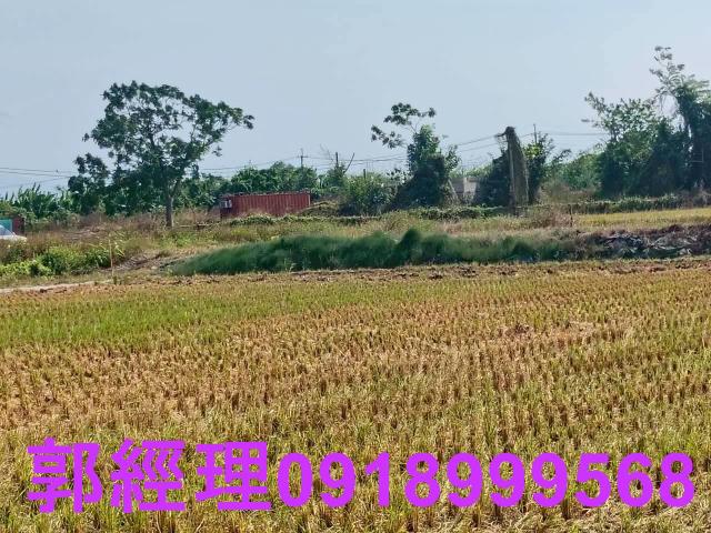 台南農地-6