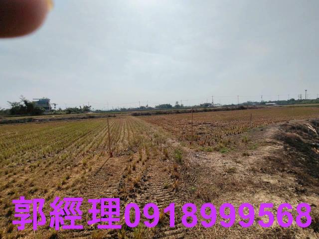 台南農地-7