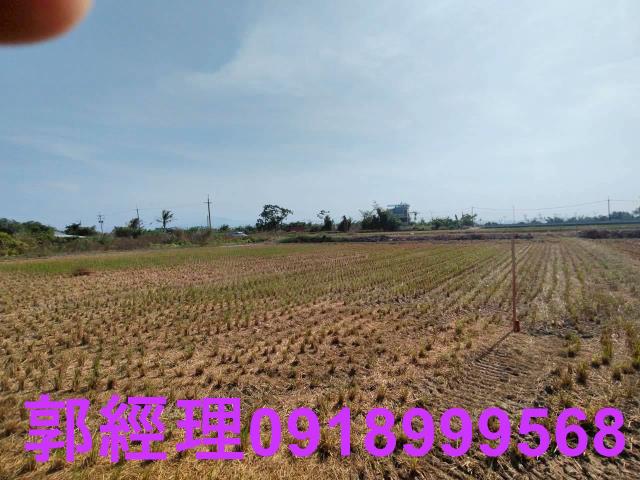 台南農地-8