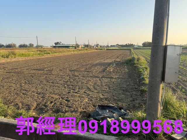 台南農地-11
