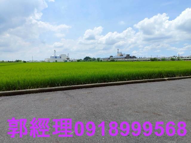 台南農地-11