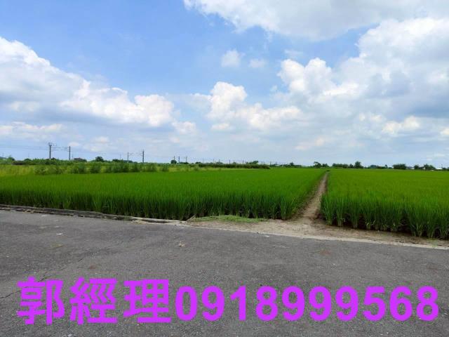 台南農地-8