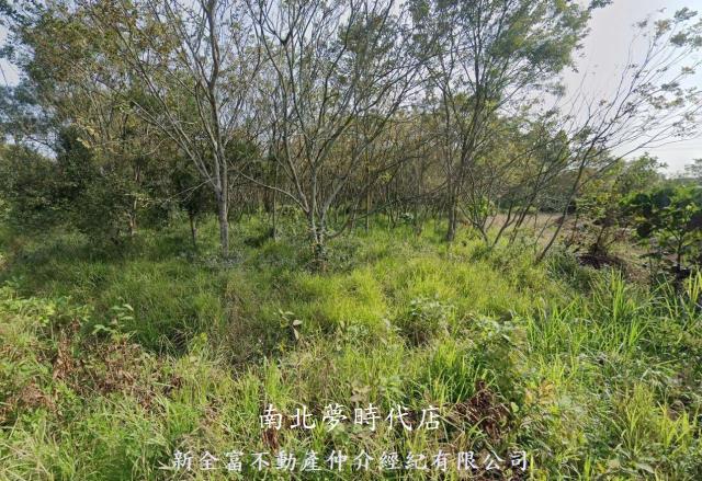 台南大內農地-1